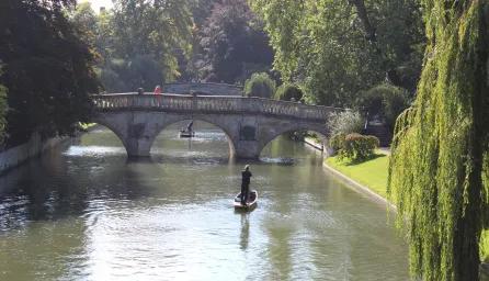 A person punting along a river toward a stone footbridge, with trees and greenery surrounding the water on a sunny day