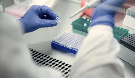 The gloved hands of a scientist conducting testing in a laboratory.