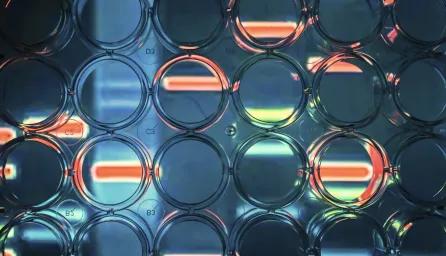 Biological sample equipment