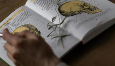 Hands studying medical text book