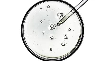 petri dish 
