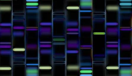 DNA profile