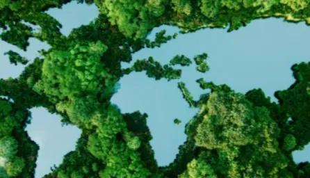 3D ecological map showing blue bodies of water and raised land surfaces covered in stylized tree models.