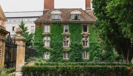 Vine-covered University of Cambridge brick building.