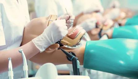 A row of dental students examining models of dental patients. 