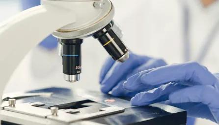 Close-up of Lab Worker's hands in blue gloves. Looking at Specimen under Microscope. 