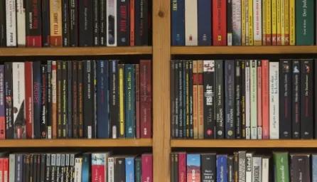 The image displays a full view of two wooden bookshelves filled with a wide variety of books