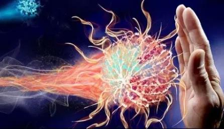 An illustration of a human hand raised in a stopping gesture against stylized viruses or pathogens, symbolizing protection and the immune system.