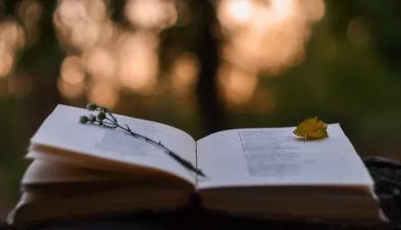 book open in front of forest back drop