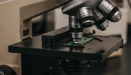 Microscope