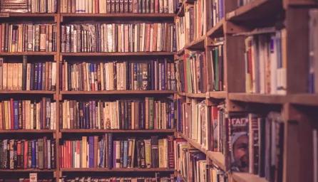 Books in shelves in library