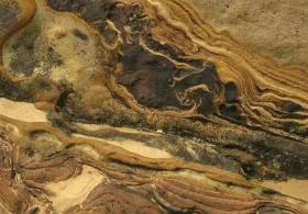 he image displays a close-up of a stromatolite, a laminated rock structure formed by the mineralization of sequentially layered mats of microbes.