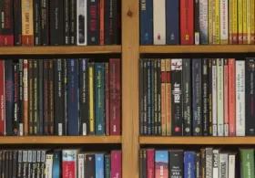 The image displays a full view of two wooden bookshelves filled with a wide variety of books