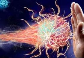 An illustration of a human hand raised in a stopping gesture against stylized viruses or pathogens, symbolizing protection and the immune system.