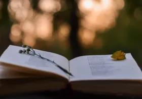 book open in front of forest back drop