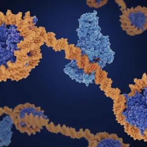 Computer image of biological molecules