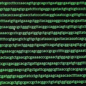Genetic code sequence