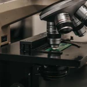 Microscope