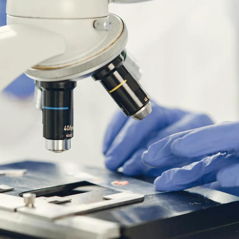 Close-up of Lab Worker's hands in blue gloves. Looking at Specimen under Microscope. 