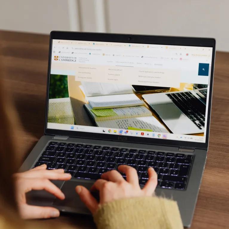 Person looking at the PACE website on a laptop