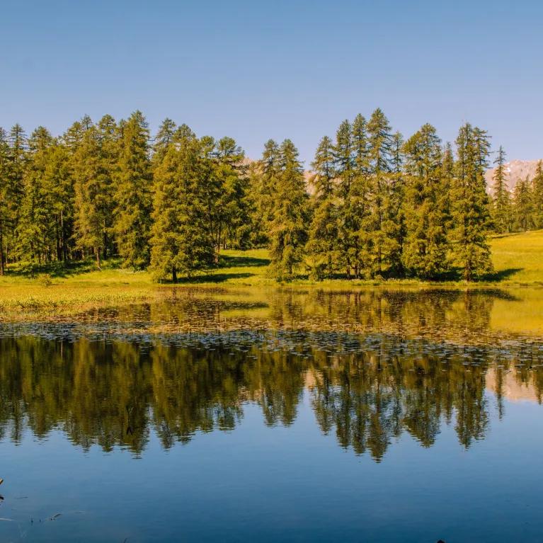 Lake with forest reflection in the water