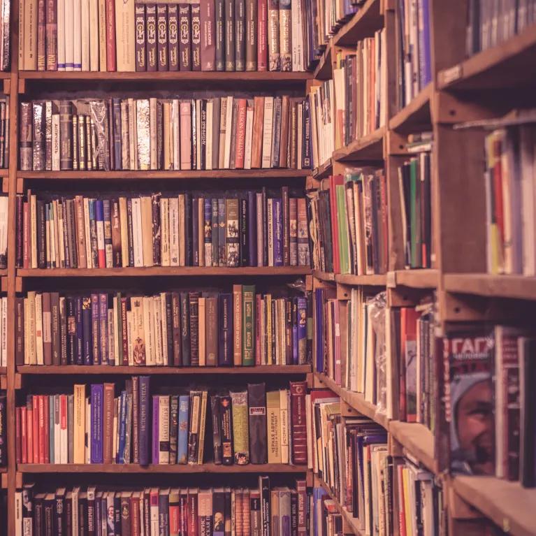 Books in shelves in library